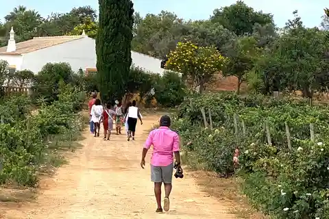 Lagos/Praia da Luz: Wine Tour, Tastings, Tapas, and Music