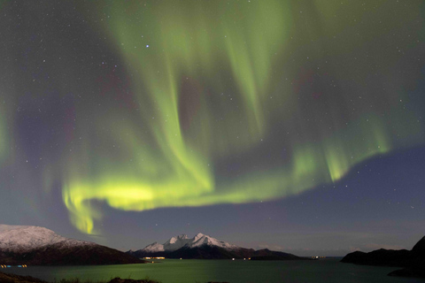 Tromsø: Northern Lights Tour with Local Guide