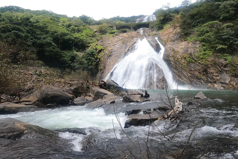Goa: SIC Dudhsagar Waterfall and Spice Plantation Day Tour