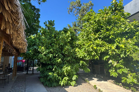 Puerto Plata: Coastal Trails, Views, and a Beach Break