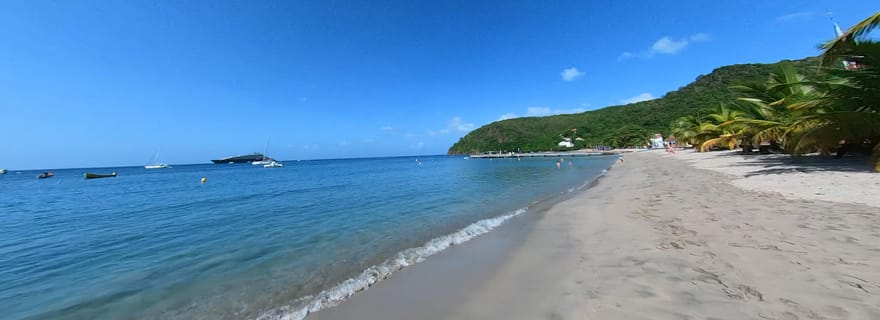 Évasion dans la péninsule de Diamant – Une demi-journée de charme et de découverte