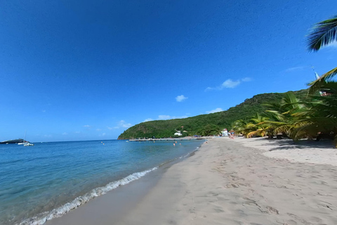 Péninsule du Diamant : Une visite à la journée le long des baies