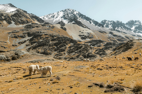 Cusco: Ausangate Glacier & Lakes ATV Tour with Lunch