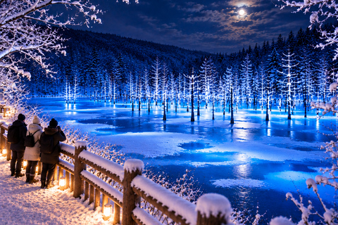 From Sapporo: Blue Pond Illumination & Ningle Terrace