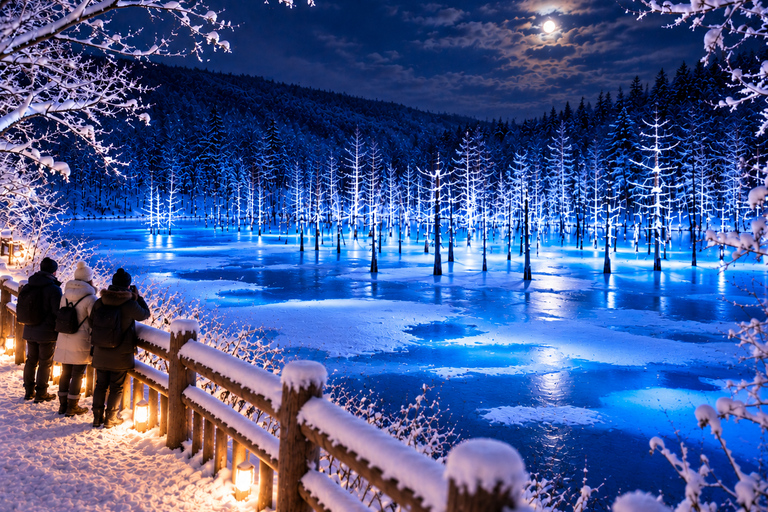From Sapporo: Blue Pond Illumination & Ningle Terrace
