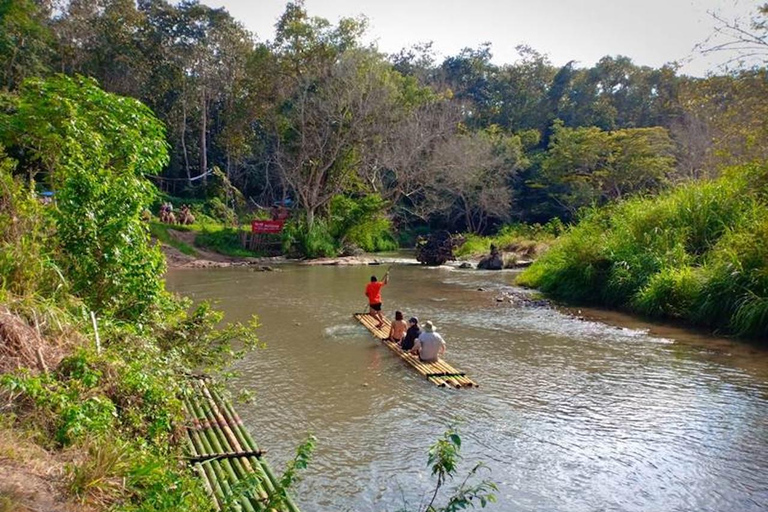مغامرة لمدة 2-3 أيام في شيانغ ماي: قبائل التلال والفيلة والنهر2 أيام 1 ليلة واحدة: الحياة المحلية ورعا