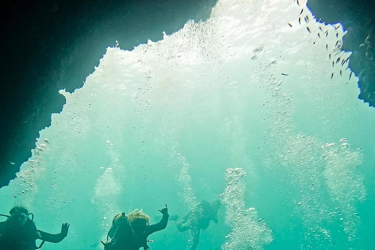 Dykutflykt i North Seymour (kanalen) med Enchanted Islands