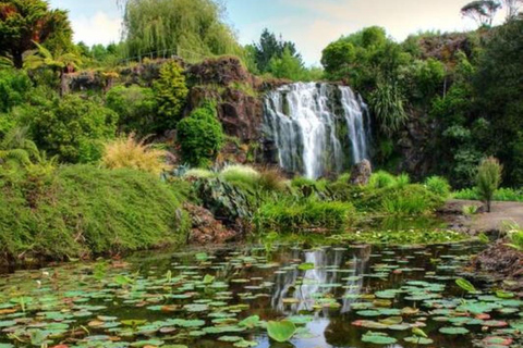 Visite des chutes d&#039;eau d&#039;Auckland