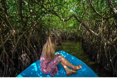 From Kalutara:Exclusive Galle Dutch Fort & Madu River Safari