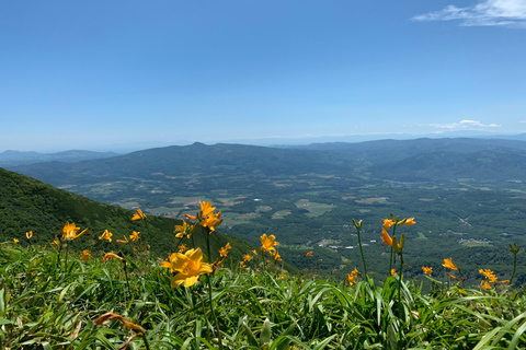 Hokkaido: Mt. Annupuri Hike with Mt. Yotei Views | Guided