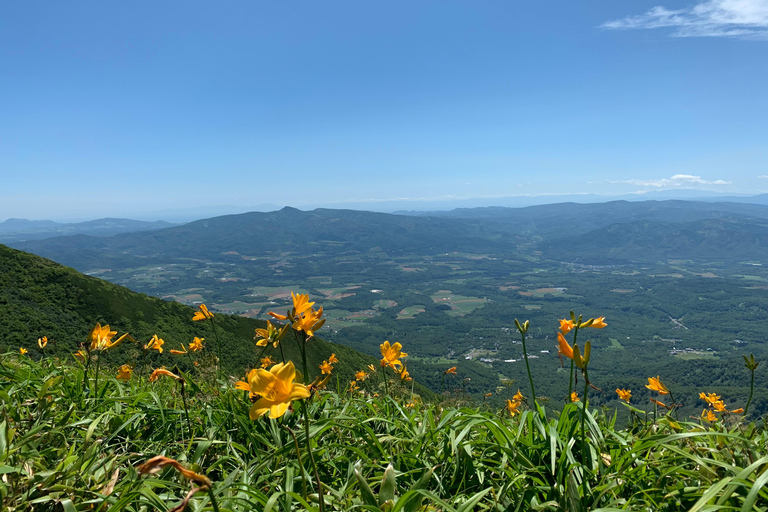 Hokkaido: Mt. Annupuri Hike with Mt. Yotei Views | Guided
