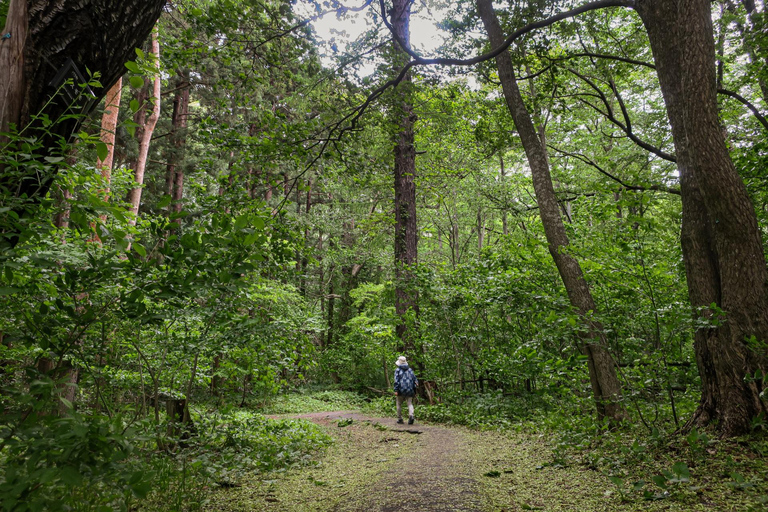 Sapporo: Mt. Maruyama Hike & Okurayama Ski Jump