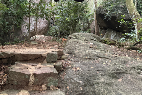 From Colombo: Cave Temples, Jungle Trek & Waterfall Swim