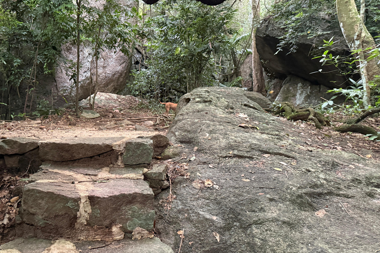 From Colombo: Cave Temples, Jungle Trek & Waterfall Swim