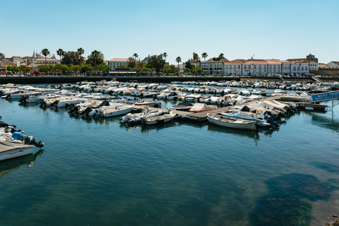 Ilha Deserta und Farol: Katamarantour ab Faro