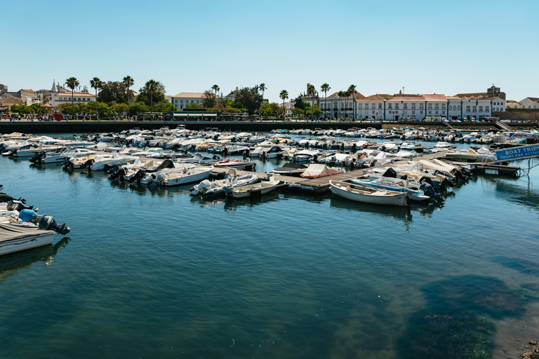 Faro: catamaran-boottocht Deserta Island en Farol Island