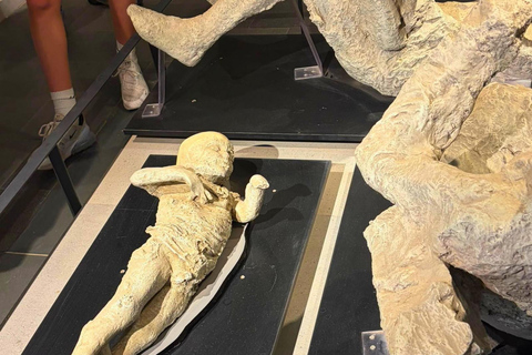 Rome: Pompeii & Amalfi Coast Day Trip, Skip-the-Line POMPEII ONLY Day Experience – No Amalfi Coast Included