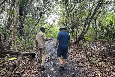 ZANZIBAR: Stone Town, fengselsøya og Jozani-skogen