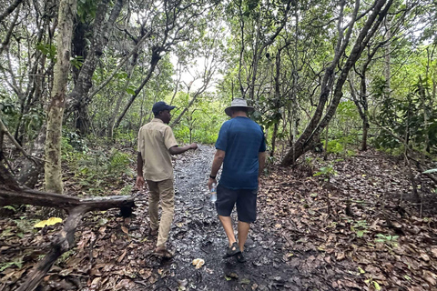 Floresta de Jozani e praia de Mende