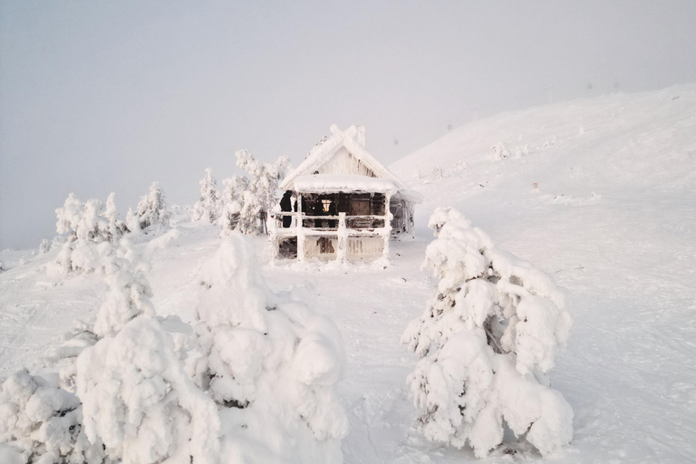 Levi: Sneeuwschoentocht naar Santa&#039;s Cabin met worst-BBQ