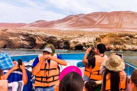 Vanuit Lima: Dagvullende tour (Paracas + Huacachina)