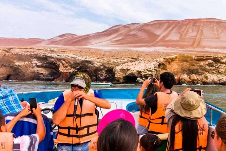 Da Lima: Tour di un giorno (Paracas + Huacachina)