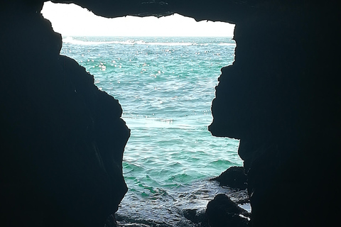 Desde Faro: Excursión de un día a la Cueva de Benagil, Marinha y Carvoeiro