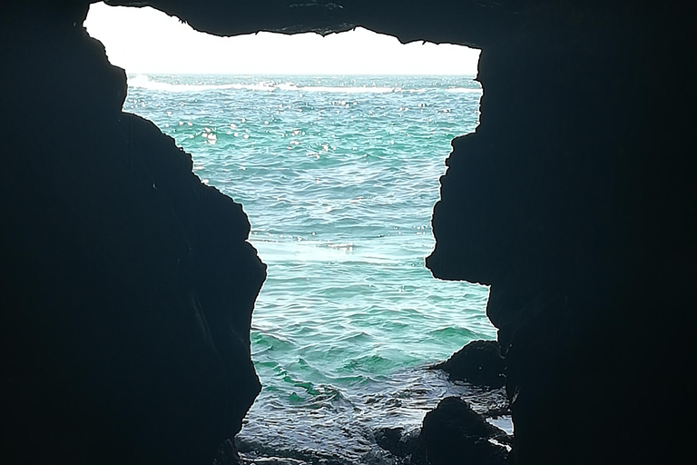 Au départ de Faro : visite d'une journée de la grotte de Benagil, de Marinha et de Carvoeiro