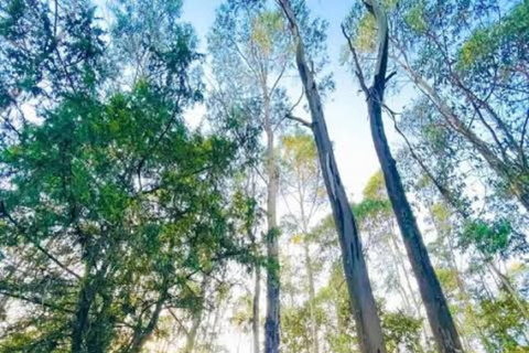 Addis Abeba: Sightseeing Tour zu Fuß