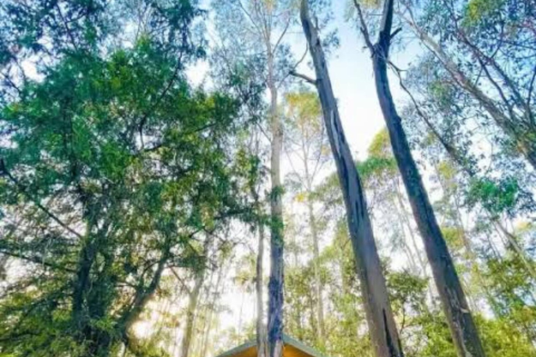 Addis Abeba: Sightseeing Tour zu Fuß