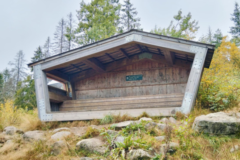 Oslo: Scenic Forest Walk with Coffee and Bonfire Waffles