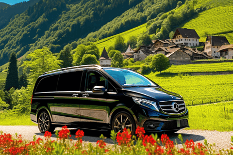 Tour privati a Grindelwald, Interlaken e Iseltwald