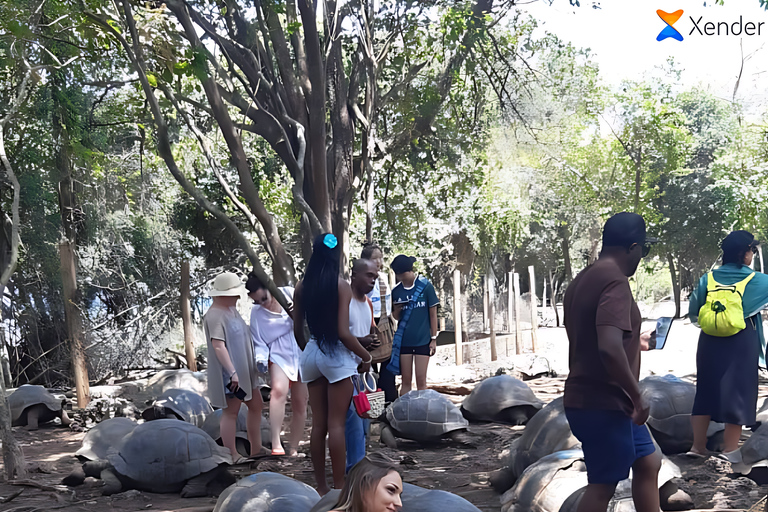 桑给巴尔：监狱岛和纳库潘达全日游