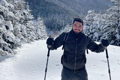 Shikotsu-Toya National Park: Guided Snowshoe Hike and Onsen Shikotsu-Toya National Park: Guided Snowshoe Hike and Onsen.