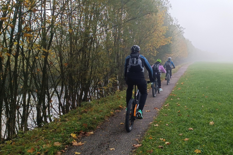 Salzkammergut: Guided e-bike tour to the alpine pastures in Gosau and Hallstatt