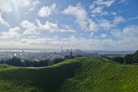 Auckland City Highlights Full Day Tour