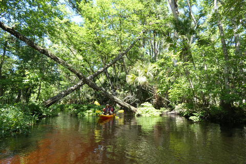 Blackwater Creek: Exclusive Nature Escape Kayak Adventure Blackwater Creek: Exclusive Wilderness Kayak Adventure