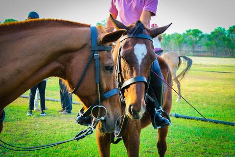 Jaipur Horse Riding Adventure