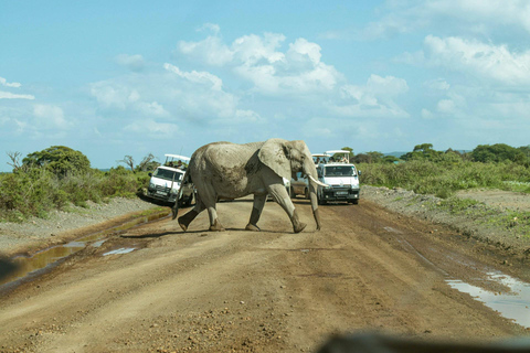 Amboseli National Park: Full Day Tour From Nairobi Overnight Amboseli National Park