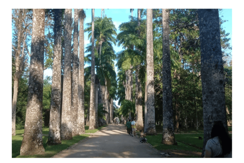 Botanical Garden of Rio de Janeiro