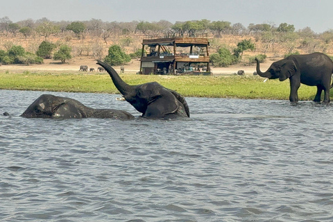 From Livingstone: Luxury Full‑Day Chobe Safari