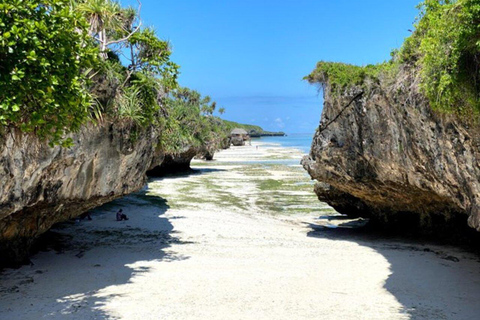 Zanzibar: Jozani Forest, Butterfly Center & Mtende Beach No HmHotel pickup and drop-off all included