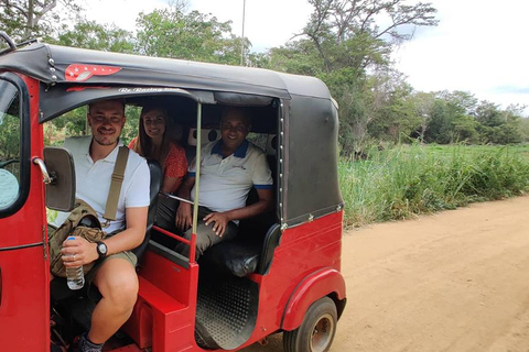 De Colombo: Excursão de 4 dias ao Sri Lanka com alojamento