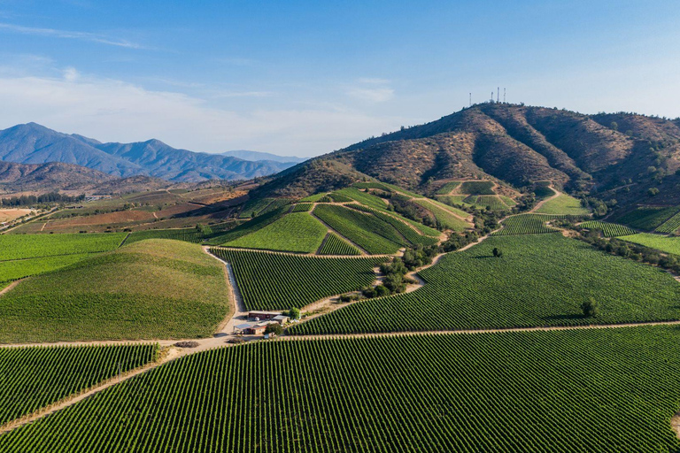 Chili : excursion d&#039;une journée à Viña del Mar et Valparaíso au départ de SantiagoVisite privée en chinois