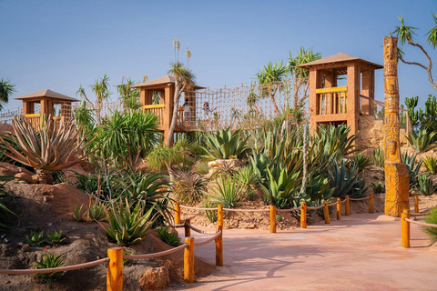 Agadir: Goats on Trees & Crocoparc Tour