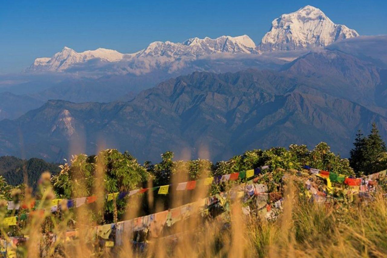 Pokhara: 3-tägiger Poon Hill Trek mit Blick auf den Sonnenaufgang