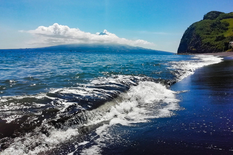 Isla de Faial: Tour de día completo con almuerzo incluido en Horta.