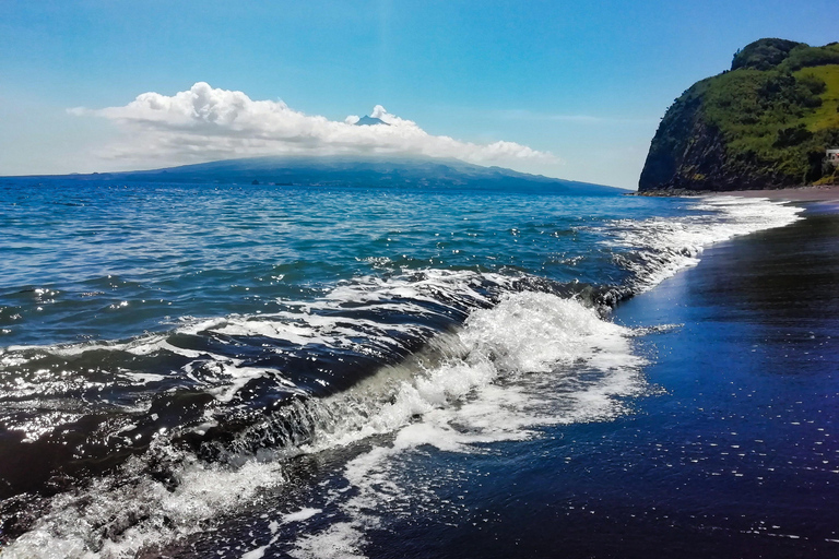 Isla de Faial: Tour de día completo con almuerzo incluido en Horta.