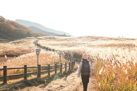 Nagoya: Soni Highlands & Akame 48 Waterfalls Guided Hike