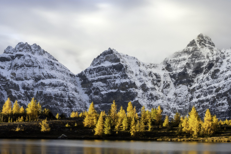Banff: wędrówka z przewodnikiem po Larch Valley z lunchem i transportem